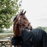 Kentucky Horsewear Horse Bib Chest Protection Sheepskin